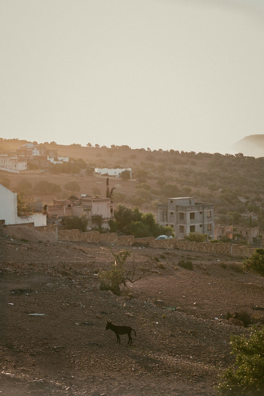 Travel and lifestyle fotografka. Dana Lišková — Empatická fotografka | Introspektivní umělkyně | Neurodivergentní koučka| Zakladatelka Artepy.cz