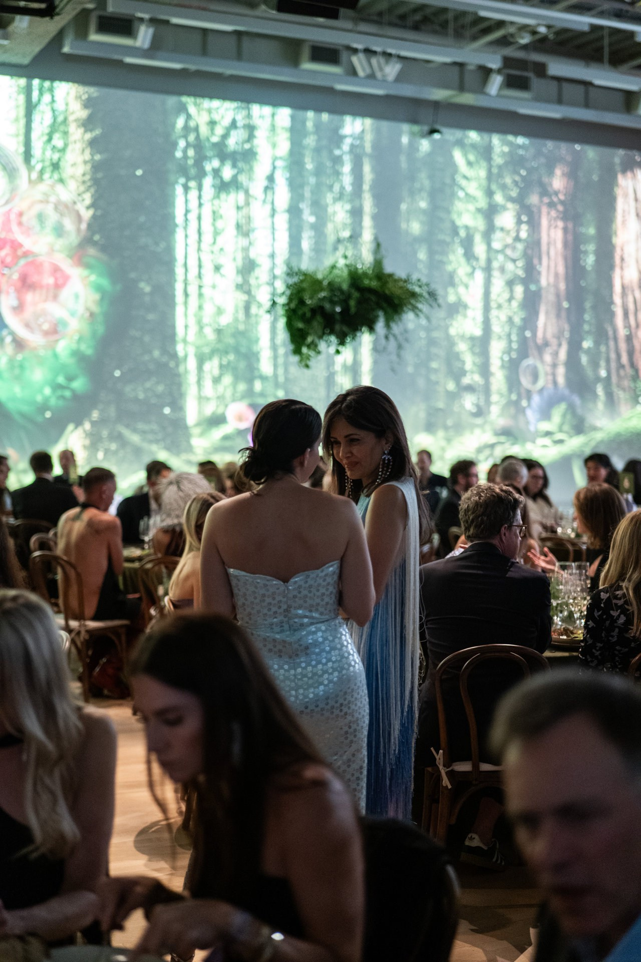 Events. Daniel Vegera — Artistic & Business Photography in San Francisco