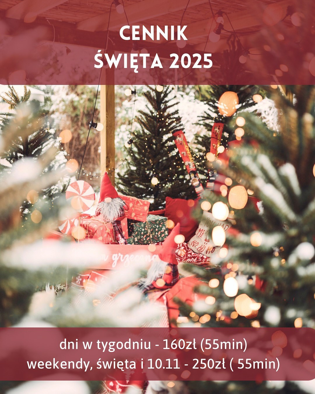 Студії новорічні. Весільний, сімейний фотограф Варшава