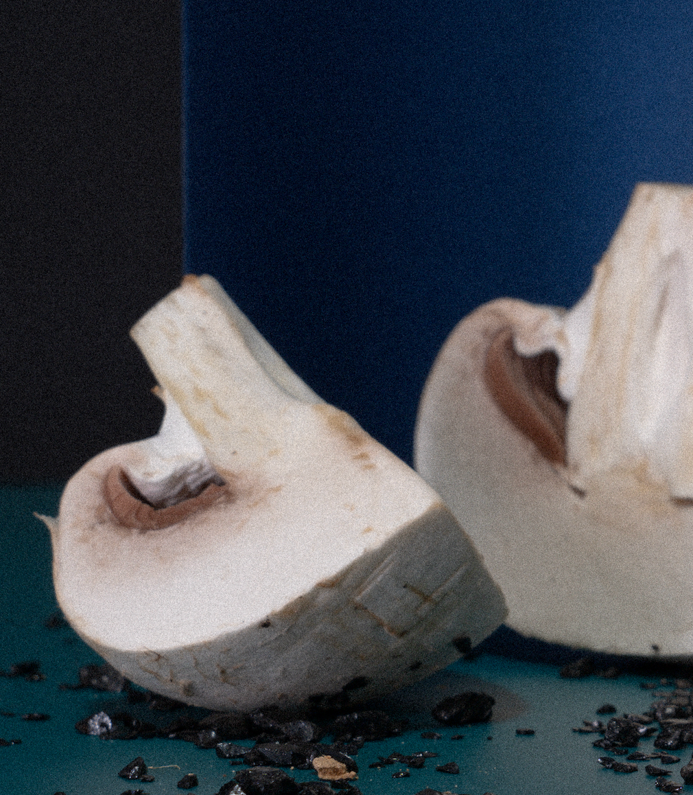 Factory (2023). Ant | photo