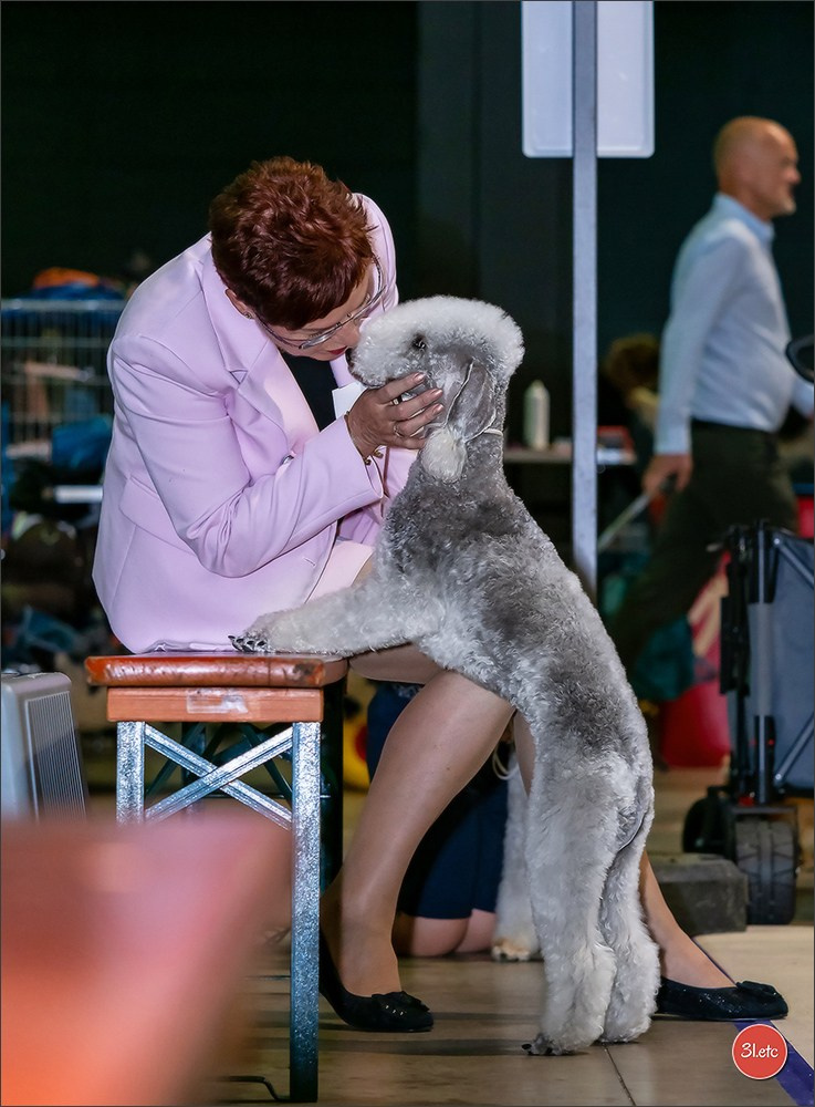 🇱🇺 LUXEMBOURG 🇱🇺 International Dog Show 🇱🇺 31/08 - 01/09/2024. Photographe à Strasbourg | Portraits, Studio, Enfants, Événements