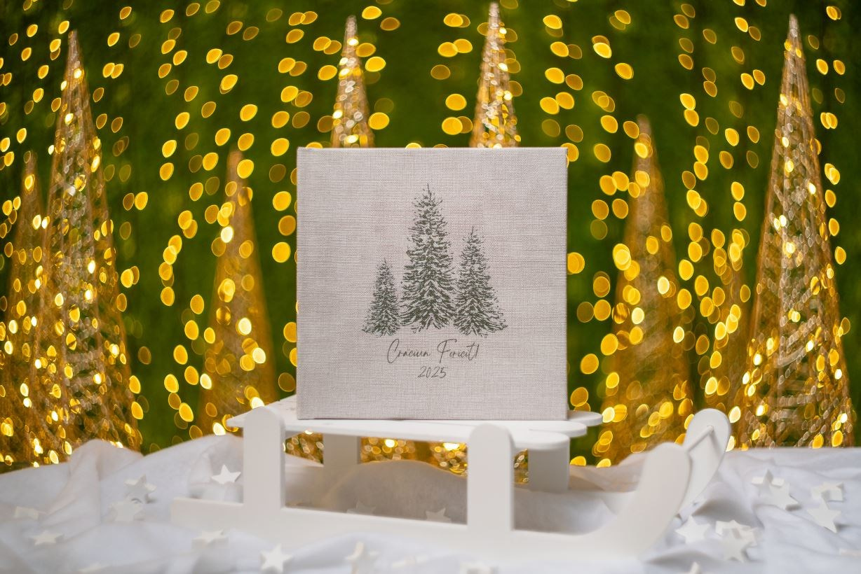 Preturi sedinte foto. Cuibul foto