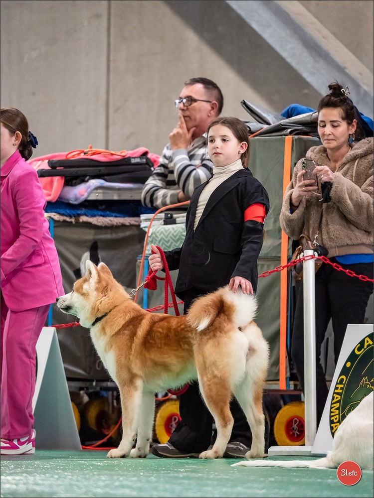 Expo canine 🇫🇷 Châlons-en-Champagne 22-23/02/2025. Photographe à Strasbourg | Portraits, Studio, Enfants, Événements