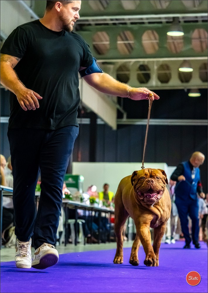 🇱🇺 LUXEMBOURG 🇱🇺 International Dog Show 🇱🇺 31/08 - 01/09/2024. Photographe à Strasbourg | Portraits, Studio, Enfants, Événements