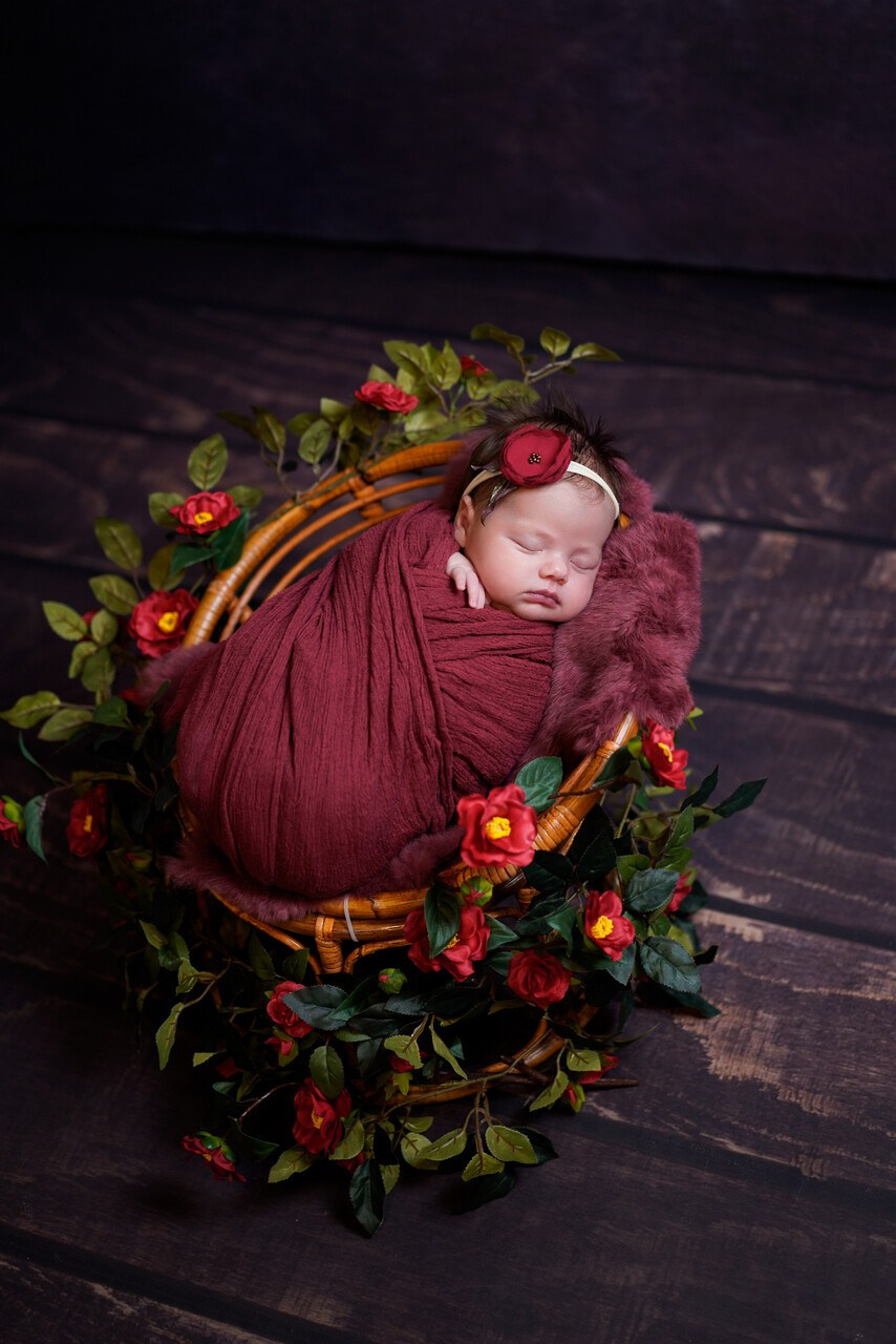 Sedinte foto nou-nascut. Cuibul foto