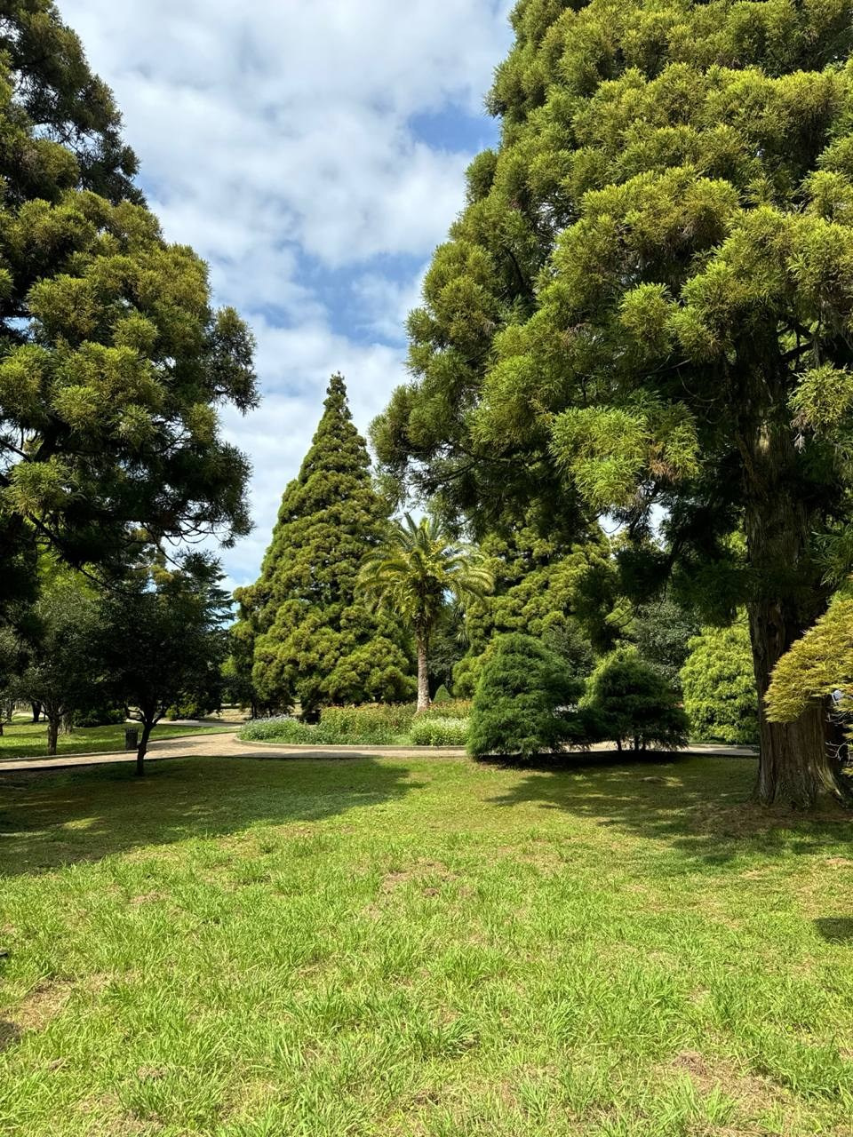 Romantic wedding ceremony in Batumi. Главная