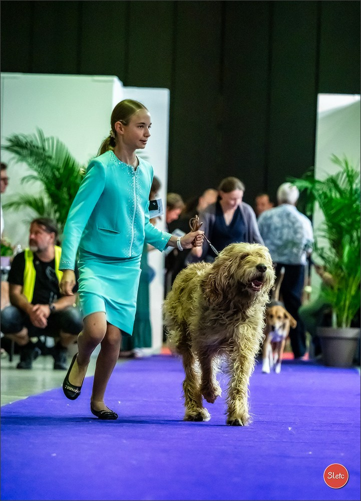 🇱🇺 LUXEMBOURG 🇱🇺 International Dog Show 🇱🇺 31/08 - 01/09/2024. Photographe à Strasbourg | Portraits, Studio, Enfants, Événements
