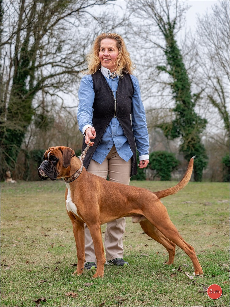 Expo canine 🇫🇷 Amiens 15-16/02/2025. Photographe à Strasbourg | Portraits, Studio, Enfants, Événements