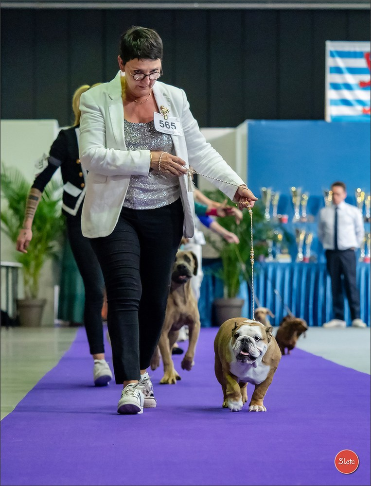 🇱🇺 LUXEMBOURG 🇱🇺 International Dog Show 🇱🇺 31/08 - 01/09/2024. Photographe à Strasbourg | Portraits, Studio, Enfants, Événements
