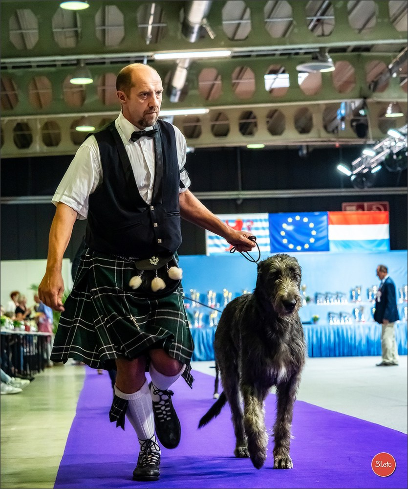 🇱🇺 LUXEMBOURG 🇱🇺 International Dog Show 🇱🇺 31/08 - 01/09/2024. Photographe à Strasbourg | Portraits, Studio, Enfants, Événements