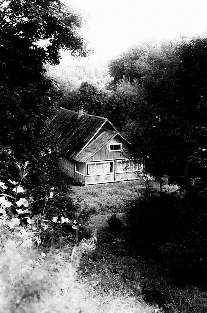 Angle got wings. Tatiana Kireicheva