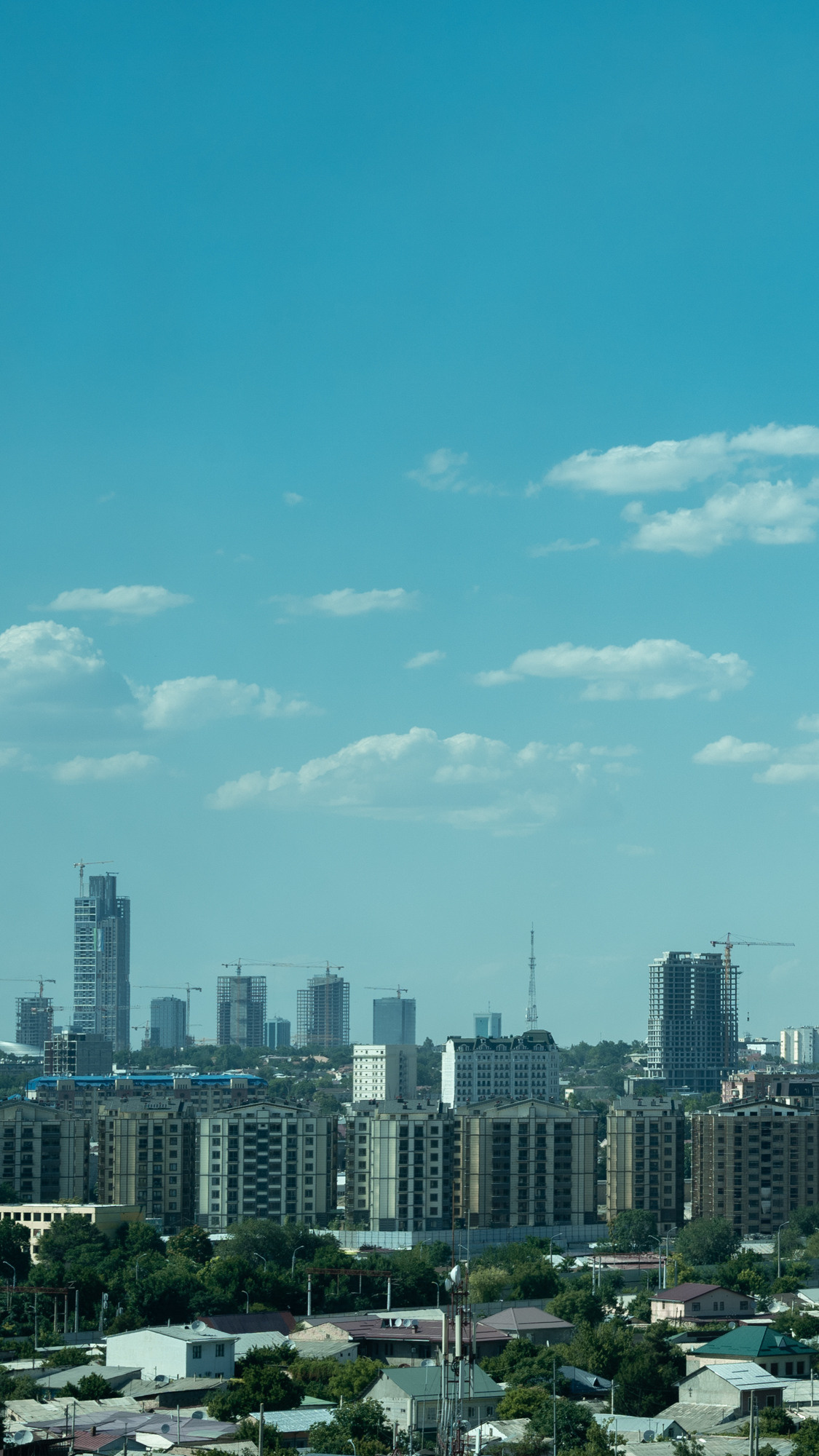 Sigma 24-70mm F2.8 DG DN Art (Sony E). Фотограф Григорий Кравец