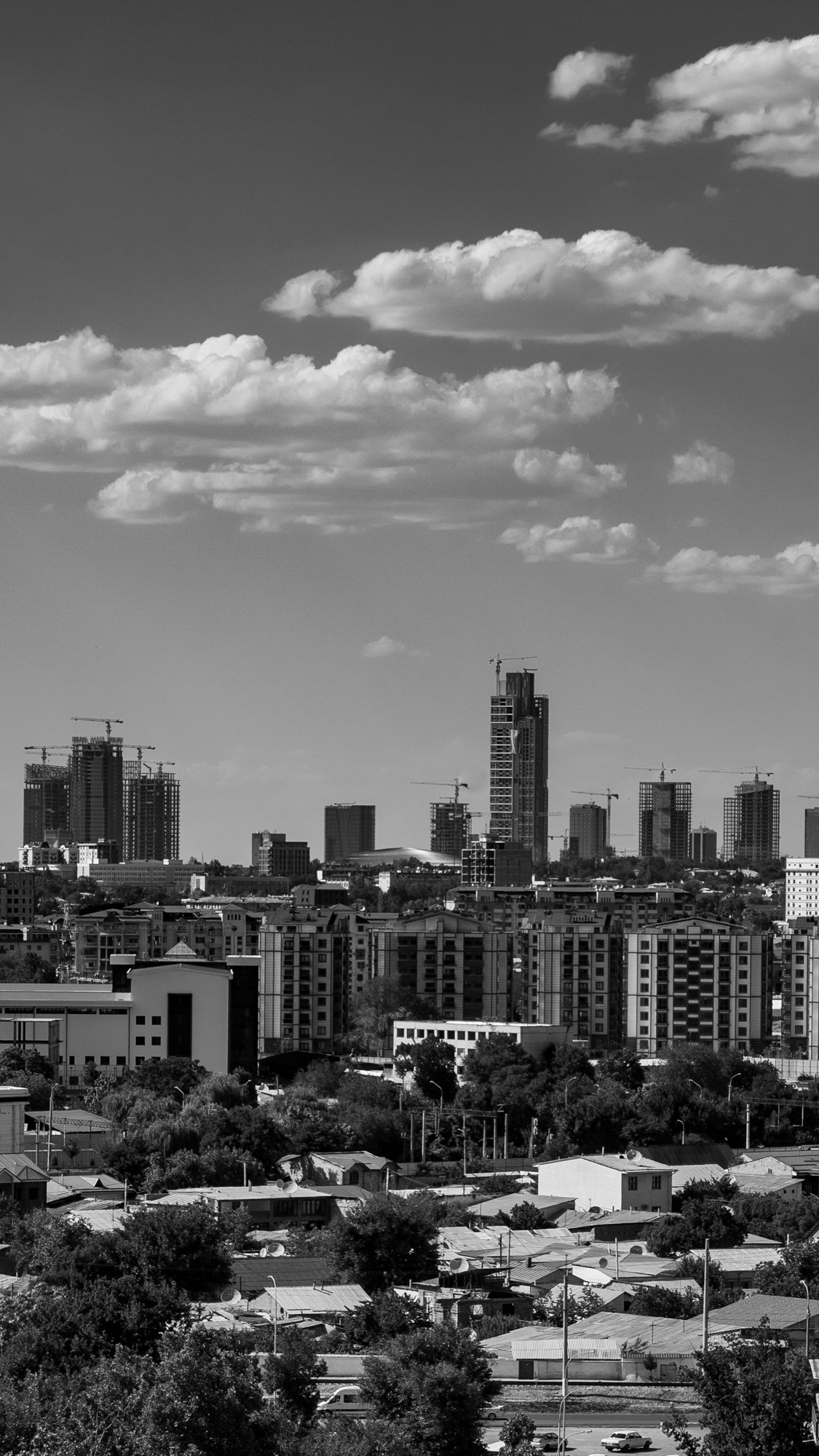 Sigma 24-70mm F2.8 DG DN Art (Sony E). Фотограф Григорий Кравец