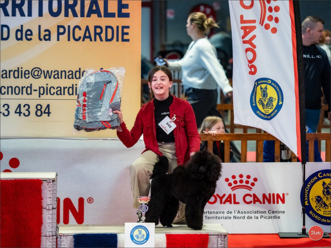 Expo canine 🇫🇷 Amiens 15-16/02/2025. Photographe à Strasbourg | Portraits, Studio, Enfants, Événements
