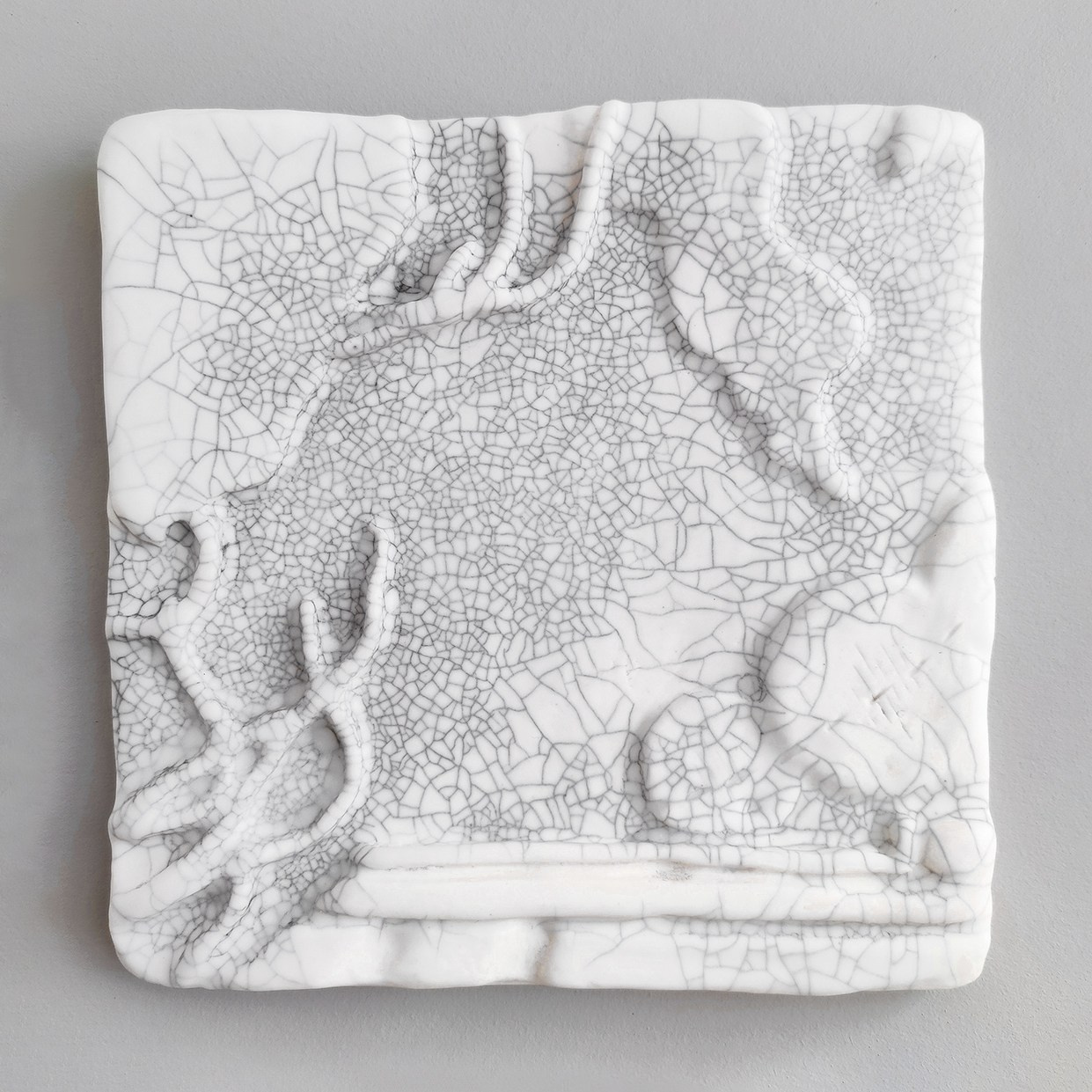 NON ACQUAINTANCE / 2021-2024. Daria Goncharova / Conceptual artist