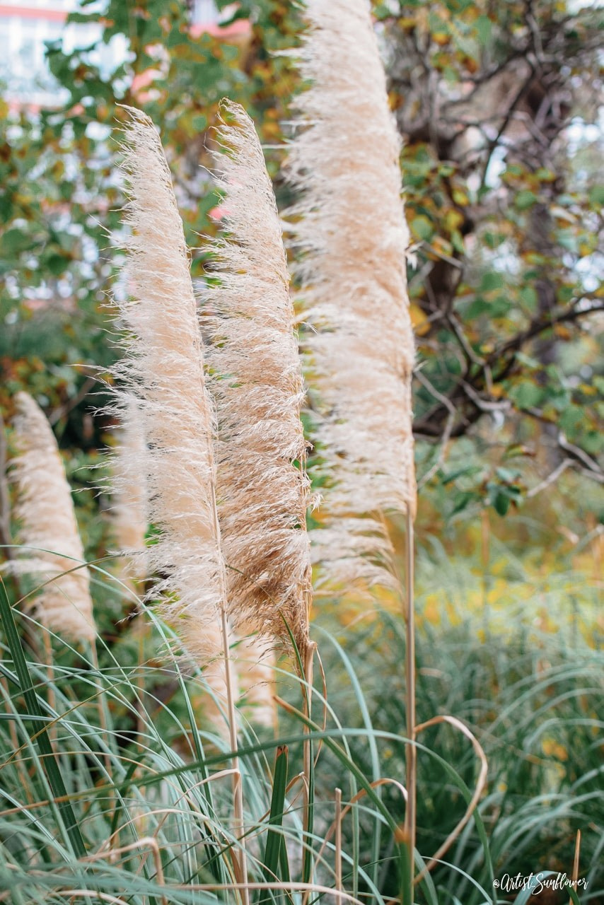 Autumn Plein Air. Romantic & Soulful Photography by Natalia Olhova in Rotterdam
