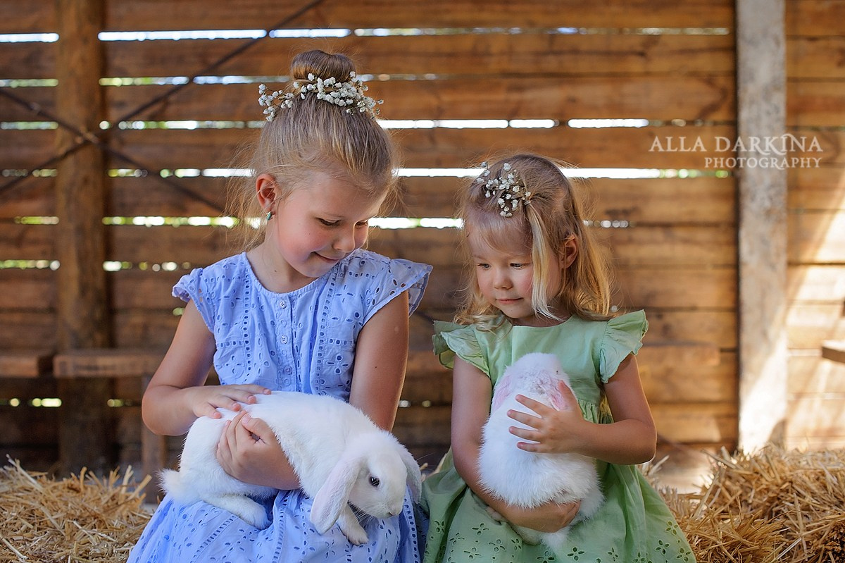 Party photography price guide. Newborn and family photographer. Hills District. Sydney