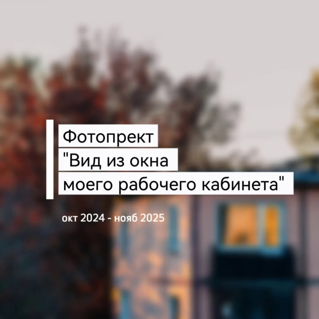 Фотопроект «Вид из окна моего рабочего кабинета». Репортажный и концертный фотограф в Санкт-Петербурге Адмакина Дарья
