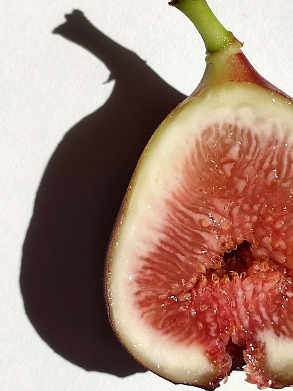 Сайт Ольги Беренштейн. Визуальный брендинг