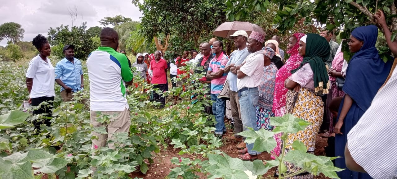 Grow Peat Organic Farming Training Crops and Sustainable Agriculture. Boost Plant Growth with Organic Fertilizers: Our Effective Solution