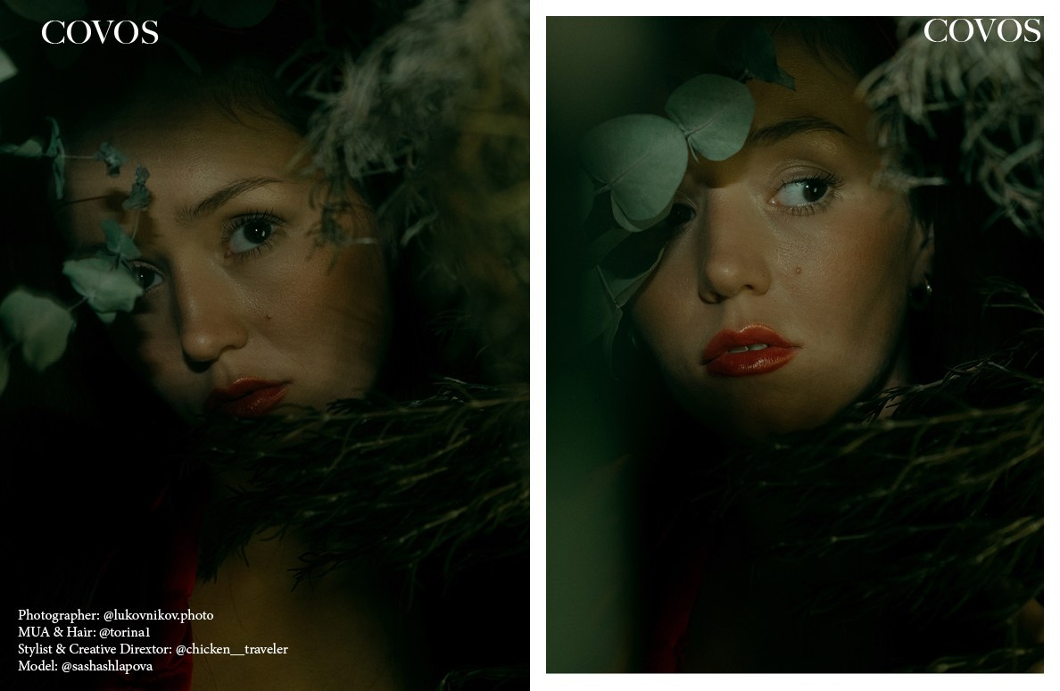 The best publications of the project Dream House