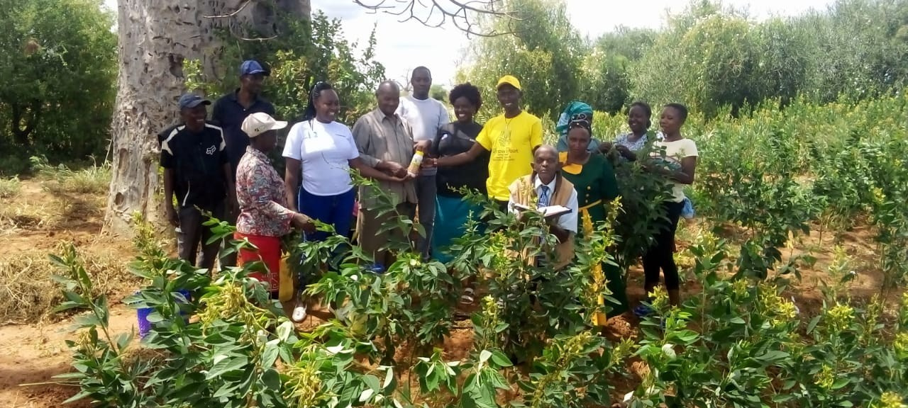 Grow Peat Organic Farming Training Crops and Sustainable Agriculture. Boost Plant Growth with Organic Fertilizers: Our Effective Solution