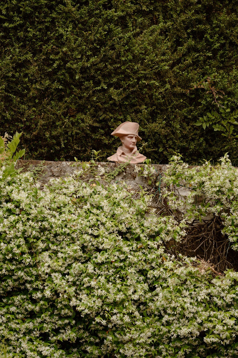 Wedding photography at Fattoria Mansi Bernardini, Lucca. Bella Vita Weddings — Wedding Photography in Dubai & Destination