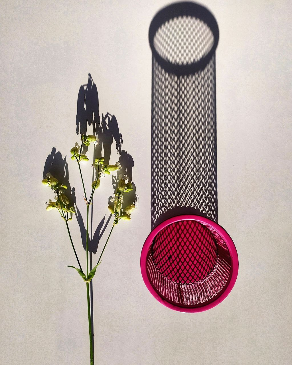 Авторський курс. Fotógrafo de bodas y familias en España, Málaga, Marbella