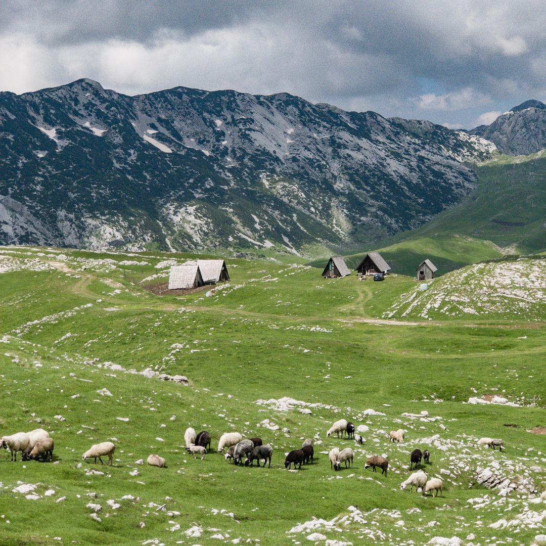 Hva du kan gjøre i Montenegro – Den ultimate reiseguiden