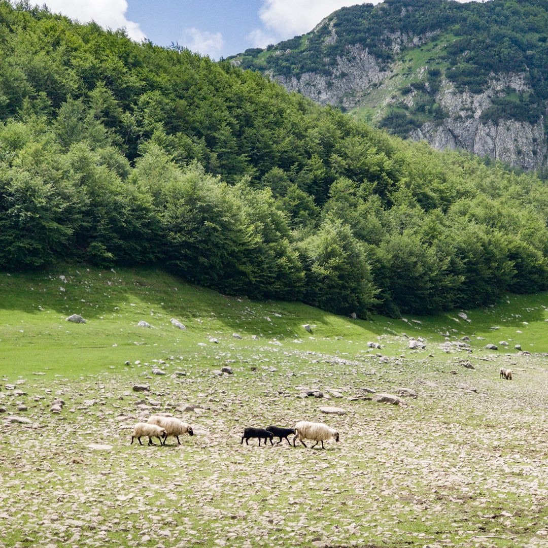 Hva du kan gjøre i Montenegro – Den ultimate reiseguiden