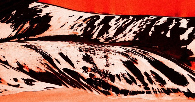 FEVER. Paulina Zhur — Visual Artist