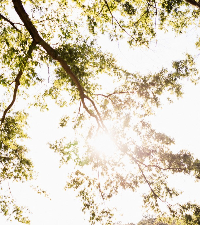 Lester and Annalise: Interview on Our Story. Wedding and portrait photography in Greenville SC