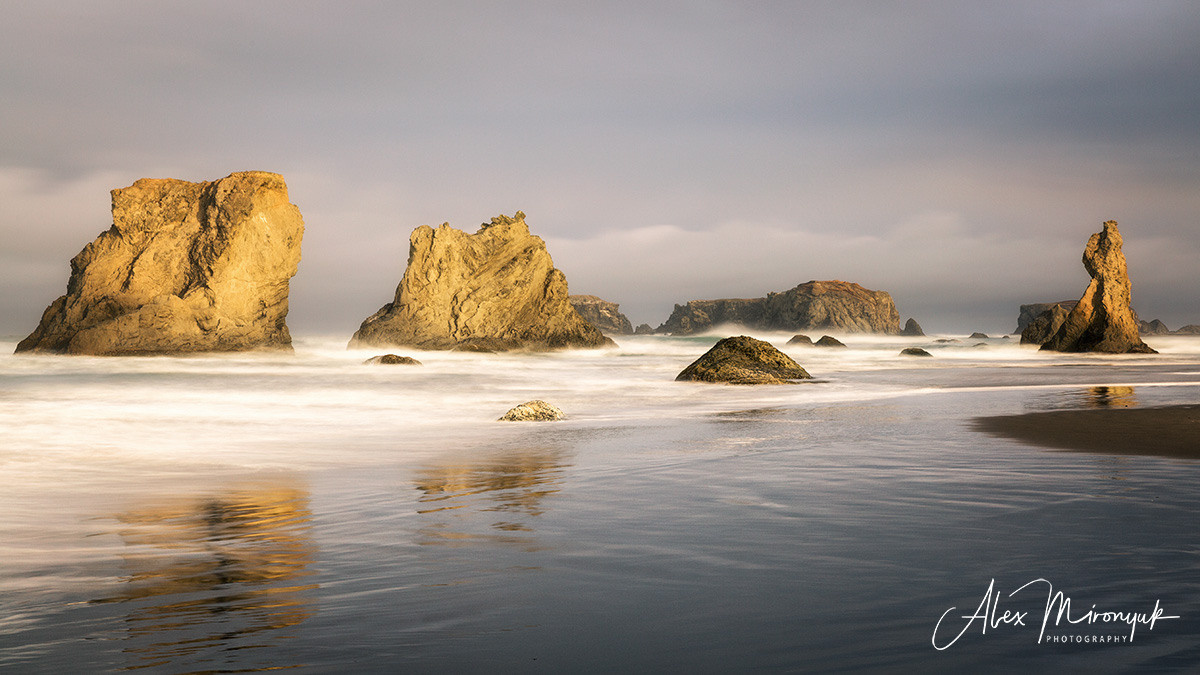 Oregon Coast Photo Workshop. Pet, Senior, Landscape, portrait studio, photographer in Miami and Sou