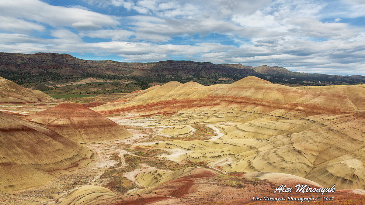 Oregon Coast Photo Workshop. Pet, Senior, Landscape, portrait studio, photographer in Miami and Sou