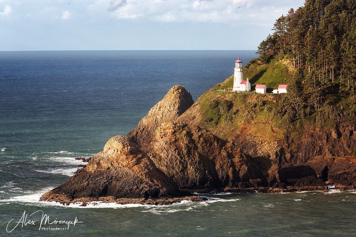 Oregon Coast Photo Workshop. Pet, Senior, Landscape, portrait studio, photographer in Miami and Sou