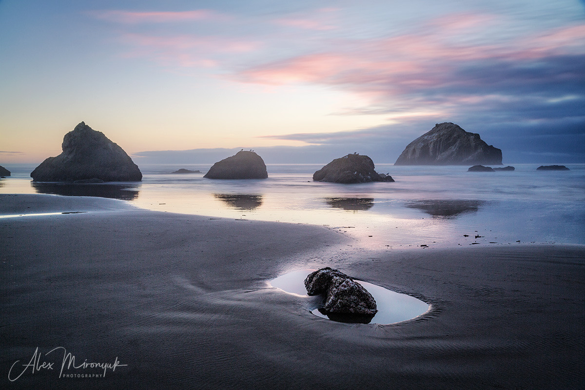 Oregon Coast Photo Workshop. Pet, Senior, Landscape, portrait studio, photographer in Miami and Sou