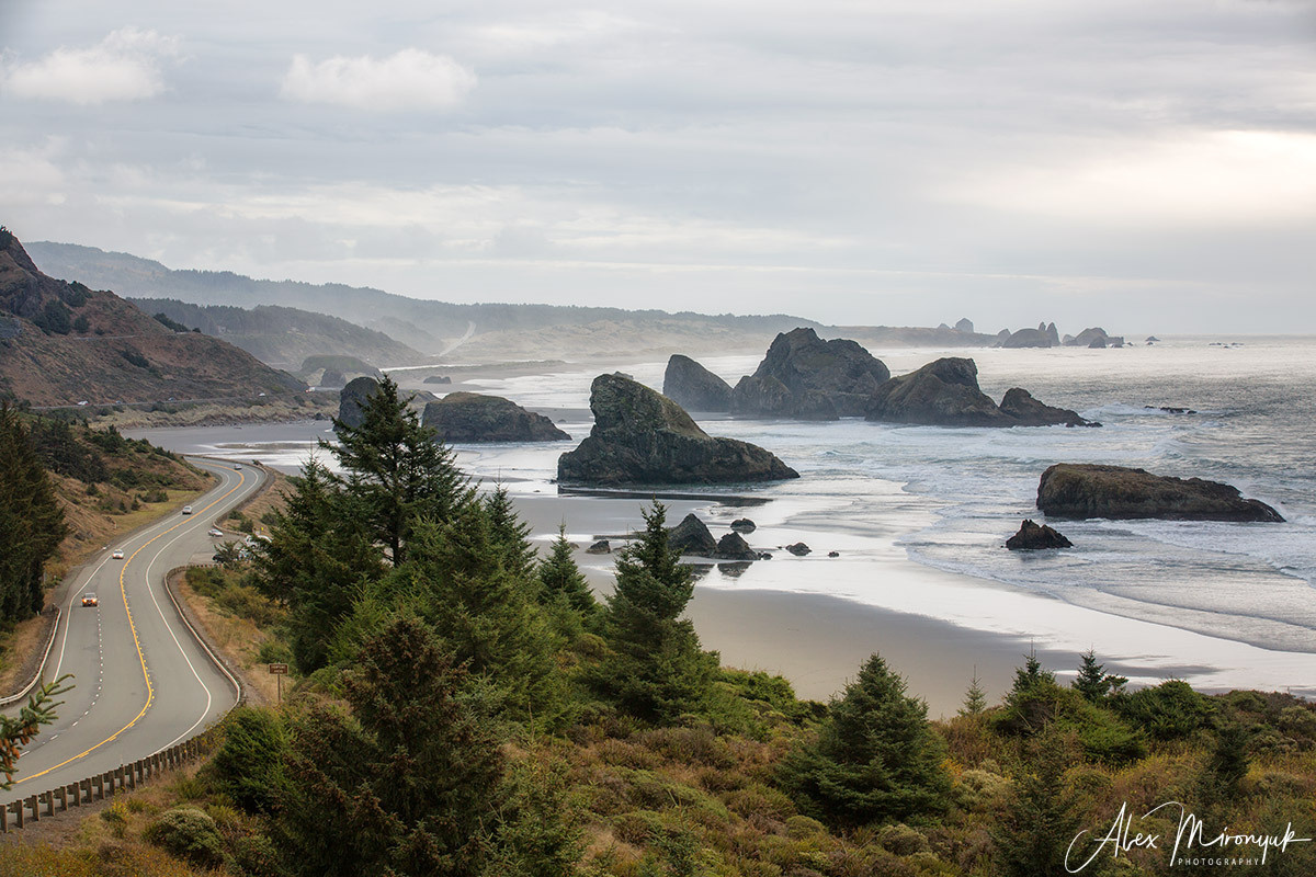 Oregon Coast Photo Workshop. Pet, Senior, Landscape, portrait studio, photographer in Miami and Sou