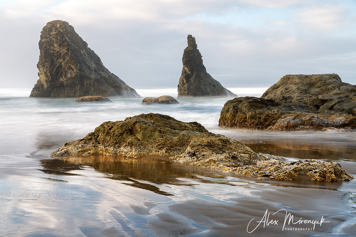 Oregon Coast Photo Workshop. Pet, Senior, Landscape, portrait studio, photographer in Miami and Sou