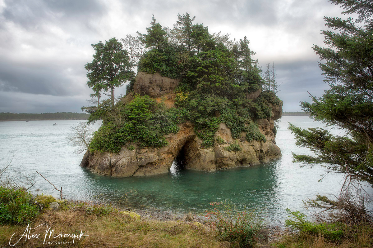 Oregon Coast Photo Workshop. Pet, Senior, Landscape, portrait studio, photographer in Miami and Sou
