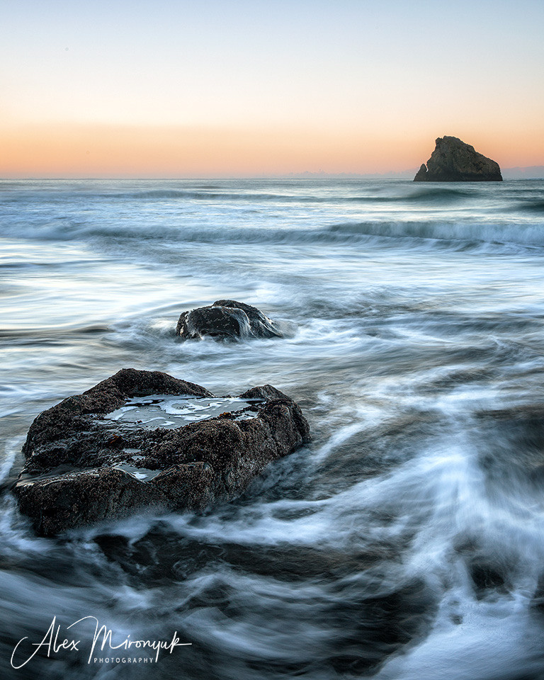 Oregon Coast Photo Workshop. Pet, Senior, Landscape, portrait studio, photographer in Miami and Sou