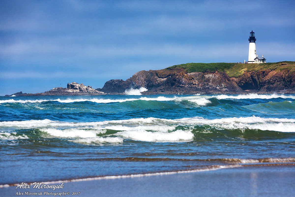Oregon Coast Photo Workshop. Pet, Senior, Landscape, portrait studio, photographer in Miami and Sou