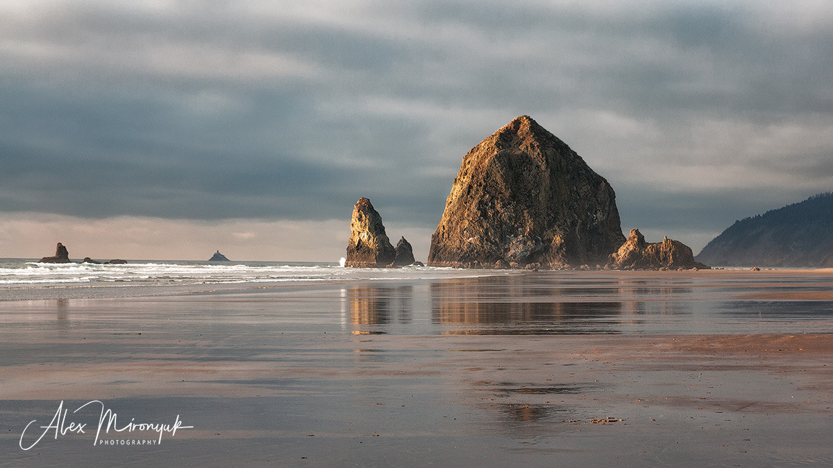 Oregon Coast Photo Workshop. Pet, Senior, Landscape, portrait studio, photographer in Miami and Sou