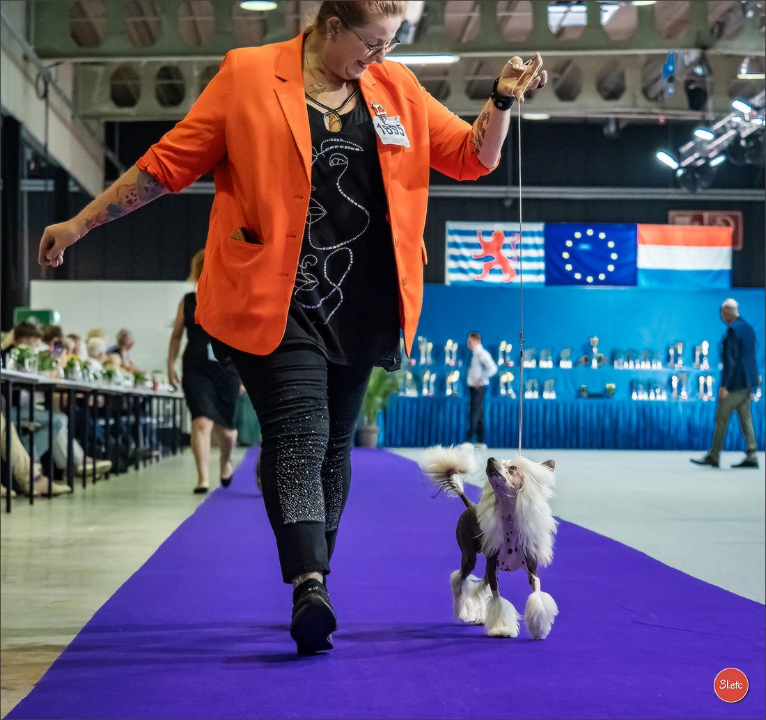 🇱🇺 LUXEMBOURG 🇱🇺 International Dog Show 🇱🇺 31/08 - 01/09/2024. Photographe à Strasbourg | Portraits, Studio, Enfants, Événements