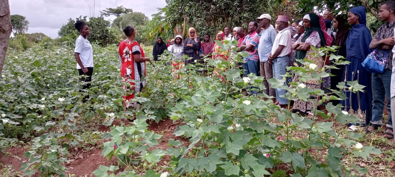 Grow Peat Organic Farming Training Crops and Sustainable Agriculture. Boost Plant Growth with Organic Fertilizers: Our Effective Solution