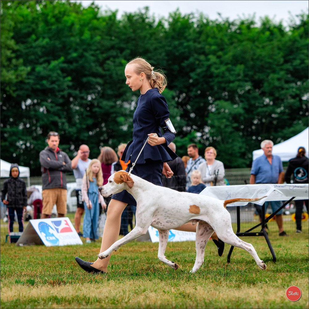 Exposition Canine à STRASBOURG-HOERDT Dimanche 18 août 2024. Photographe à Strasbourg | Portraits, Studio, Enfants, Événements