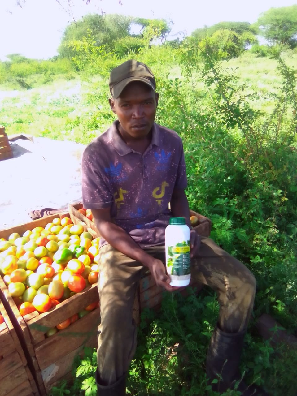 Grow Peat Organic Farming Training Crops and Sustainable Agriculture. Boost Plant Growth with Organic Fertilizers: Our Effective Solution