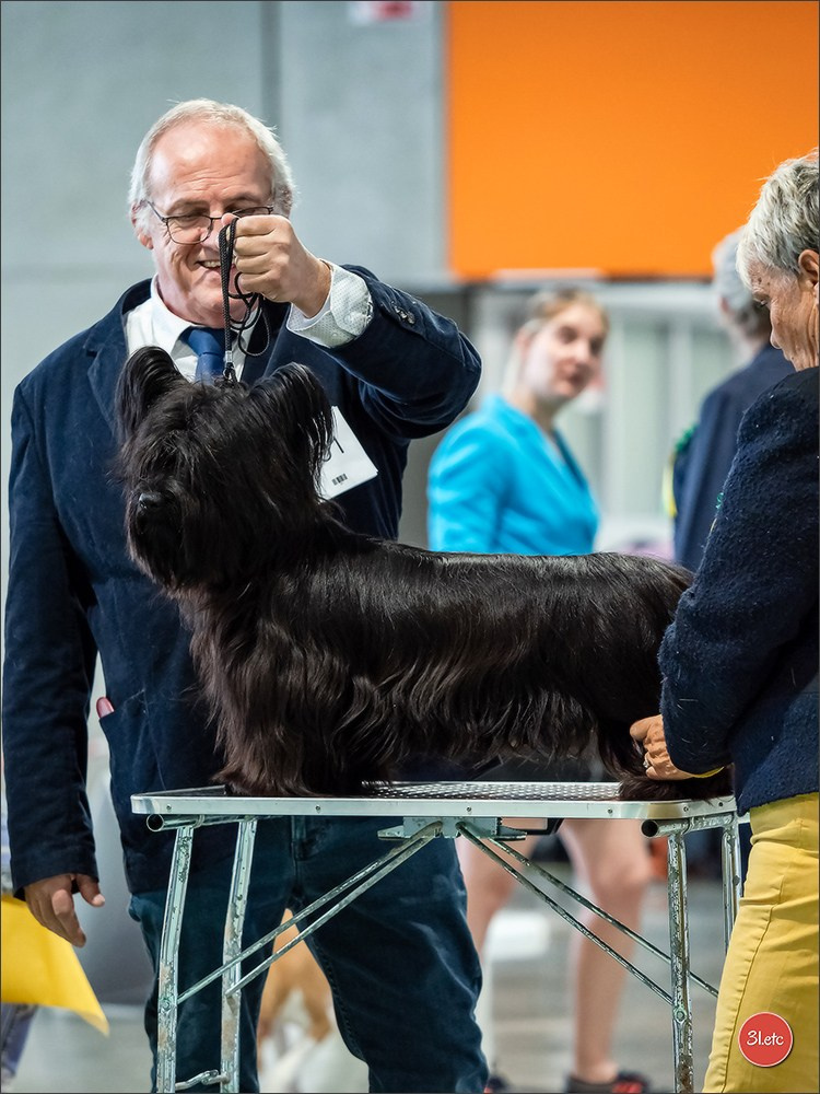 Expo canine 🇫🇷 Châlons-en-Champagne 22-23/02/2025. Photographe à Strasbourg | Portraits, Studio, Enfants, Événements