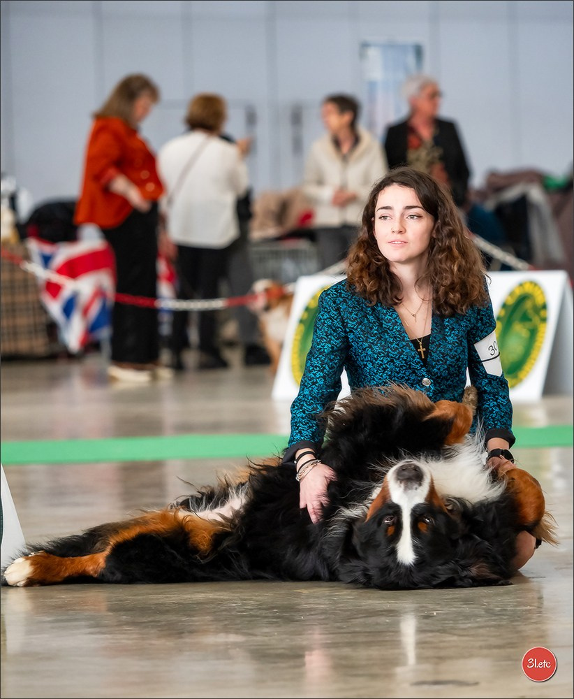 Expo canine 🇫🇷 Châlons-en-Champagne 22-23/02/2025. Photographe à Strasbourg | Portraits, Studio, Enfants, Événements