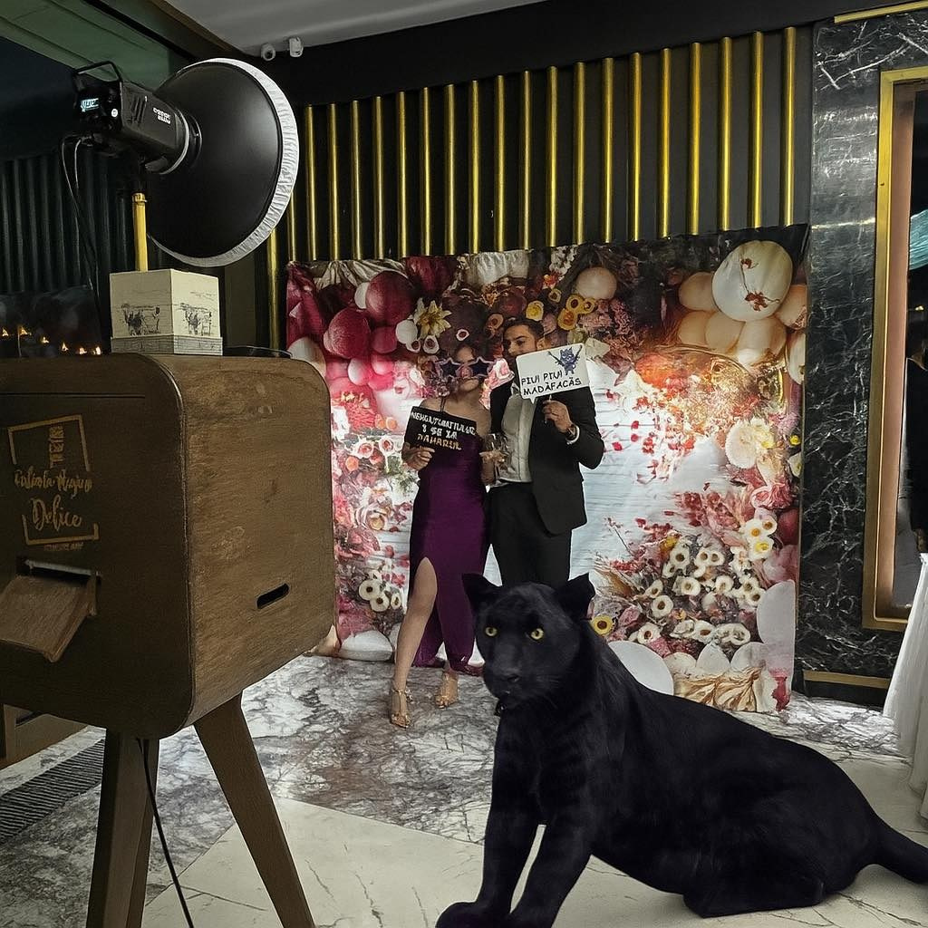 Servicii2. Oglindamagicadelice.wfolio.pro