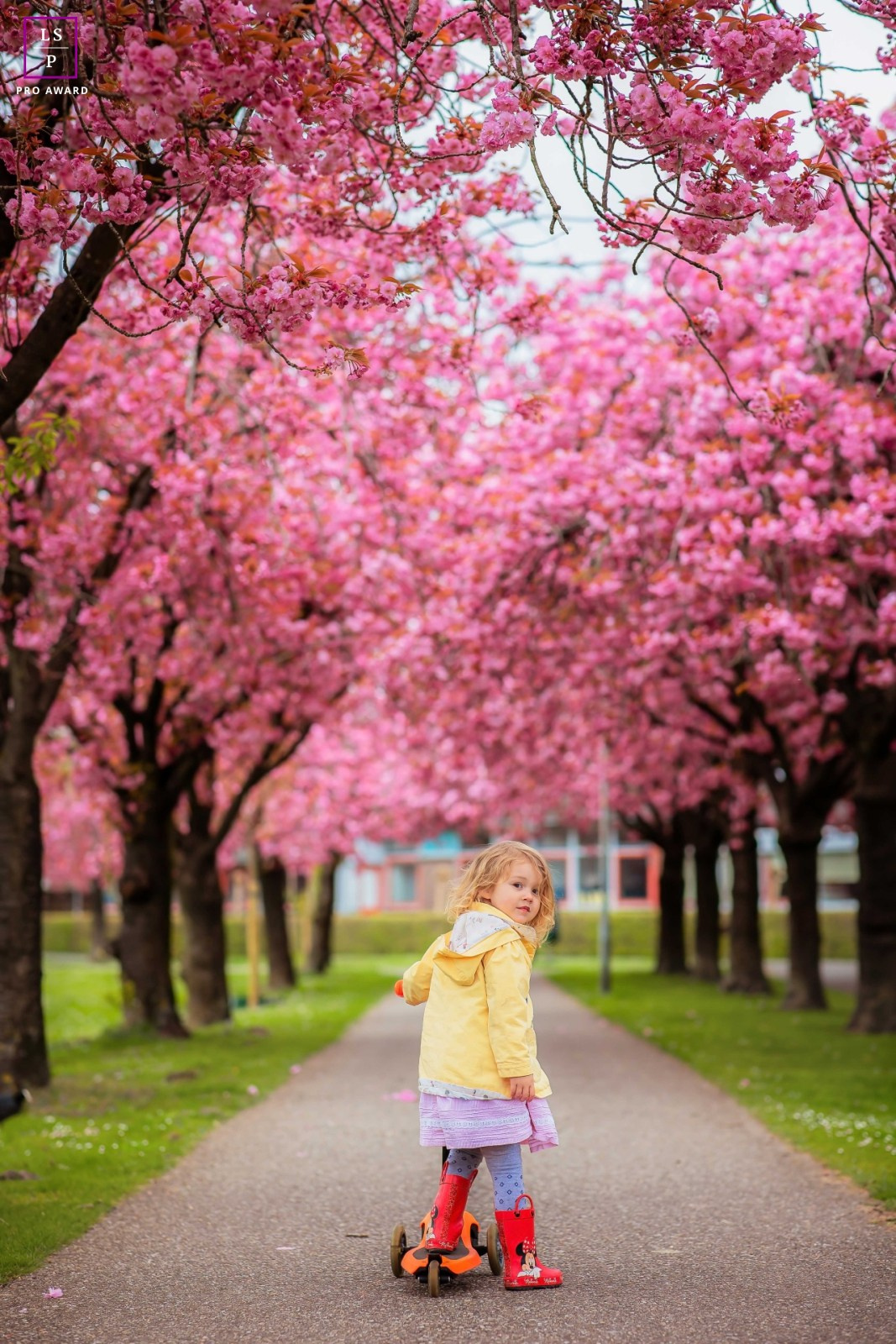 Familie en huwelijksfotograaf in Zwolle Overijssel